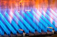 Blenheim gas fired boilers